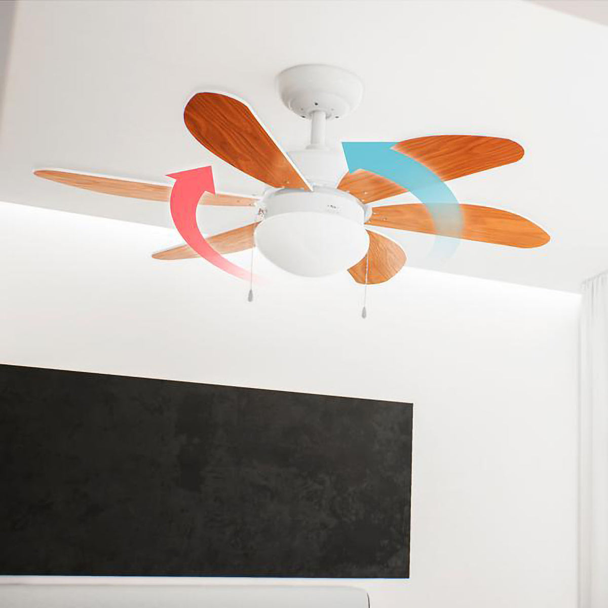 Ceiling Fan 36