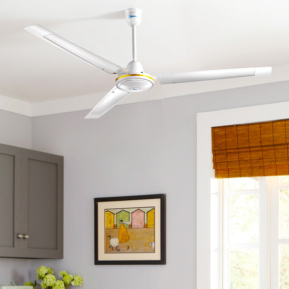 Ceiling Fans