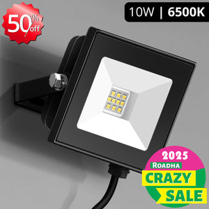 LED Flood Light (6500K)