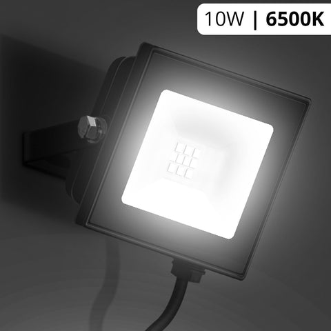 LED Flood Light (6500K)