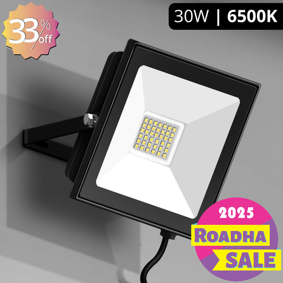 LED Flood Light (6500K)