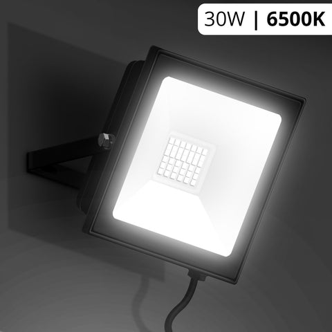 LED Flood Light (6500K)