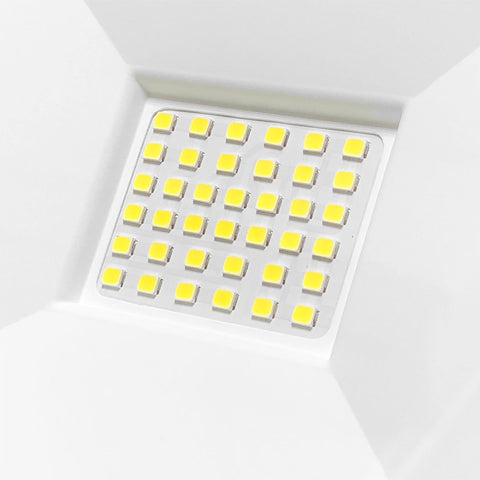 LED Flood Light (6500K)