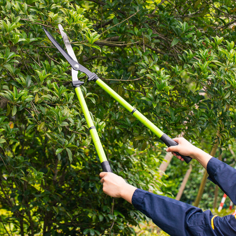 Garden Shear (25" - 33") - Asters Maldives