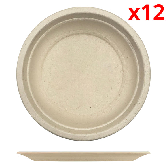 Paper Plate, 12 PCs (Ø9