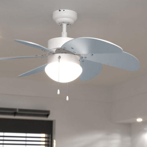 Ceiling Fan (Ø36")