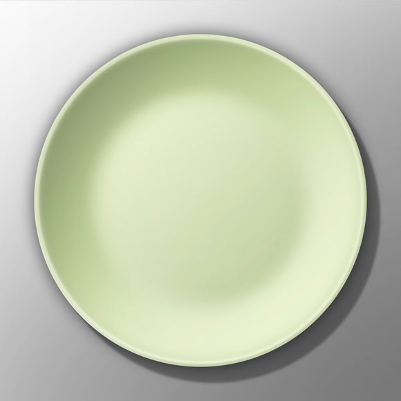 Dinner Plate (Ø7