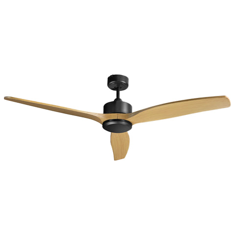 Ceiling Fan (Ø52")