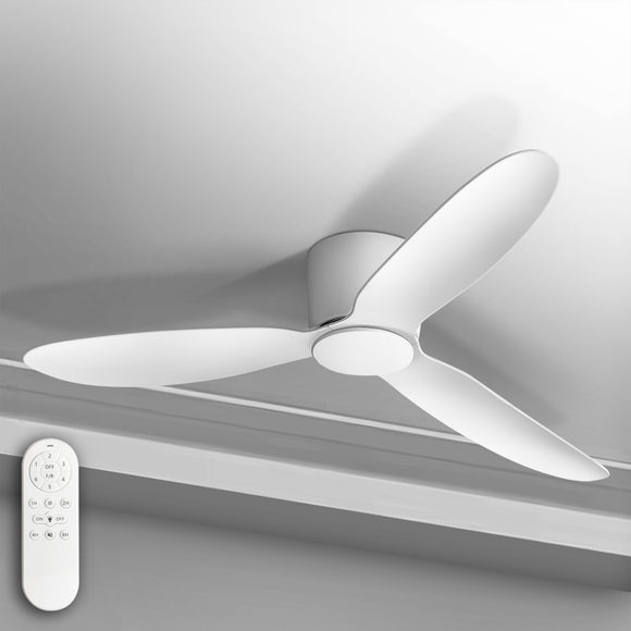 Ceiling Fan (Ø52