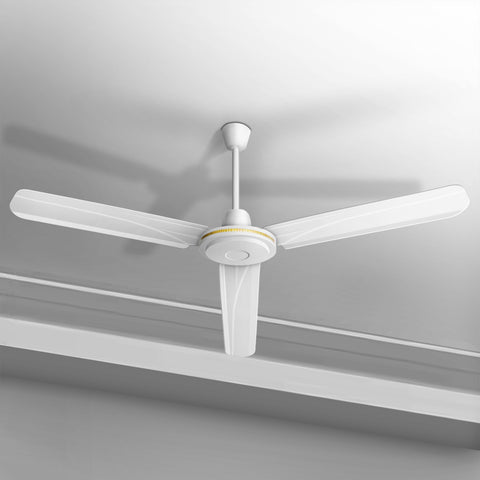 Ceiling Fan (Ø48")