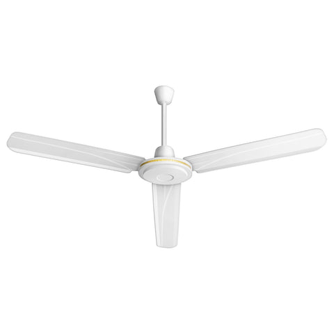 Ceiling Fan (Ø48")